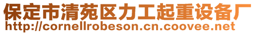 保定市清苑區(qū)力工起重設(shè)備廠
