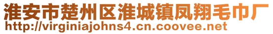 淮安市楚州區(qū)淮城鎮(zhèn)鳳翔毛巾廠