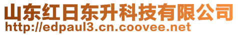 山東紅日東升科技有限公司