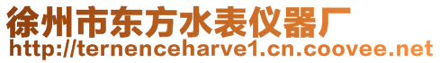 徐州市東方水表儀器廠