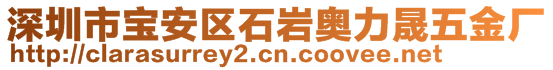 深圳市寶安區(qū)石巖奧力晟五金廠