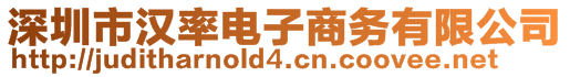 深圳市漢率電子商務(wù)有限公司