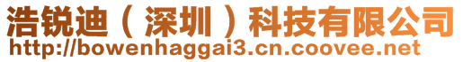 浩銳迪(深圳)科技有限公司