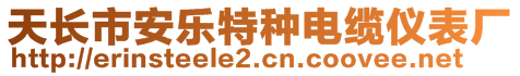 天長(zhǎng)市安樂特種電纜儀表廠