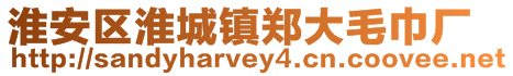 淮安區淮城鎮鄭大毛巾廠