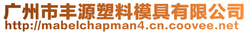 廣州市豐源塑料模具有限公司