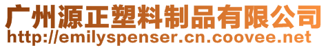 廣州源正塑料制品有限公司