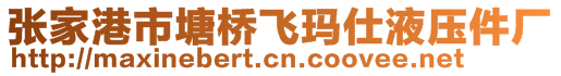 張家港市塘橋飛瑪仕液壓件廠