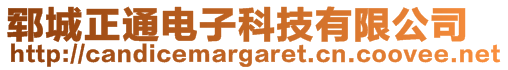 鄆城正通電子科技有限公司