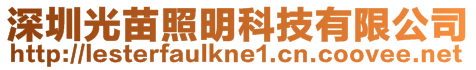 深圳光苗照明科技有限公司