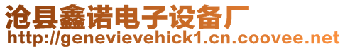 滄縣鑫諾電子設(shè)備廠