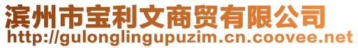 濱州市寶利文商貿(mào)有限公司