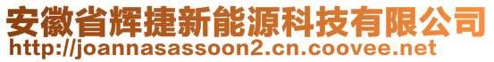 安徽省辉捷新能源科技有限公司