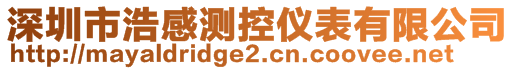 深圳市浩感測控儀表有限公司