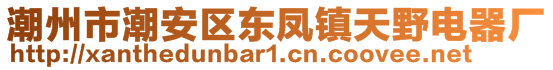 潮州市潮安區(qū)東鳳鎮(zhèn)天野電器廠