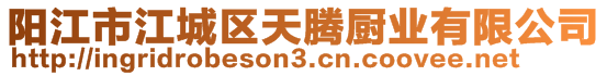 陽江市江城區天騰廚業有限公司