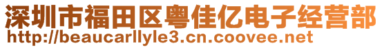 深圳市福田區(qū)粵佳億電子經(jīng)營(yíng)部