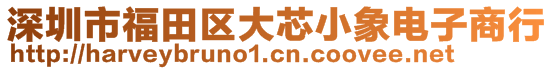 深圳市福田區(qū)大芯小象電子商行