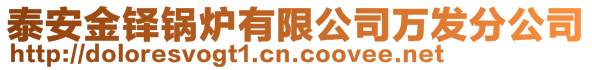 泰安金鐸鍋爐有限公司萬發(fā)分公司