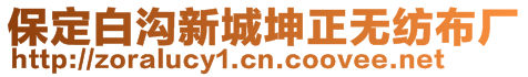 保定白溝新城坤正無紡布廠