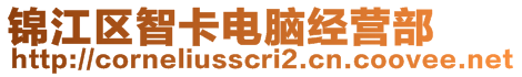 錦江區(qū)智卡電腦經(jīng)營(yíng)部