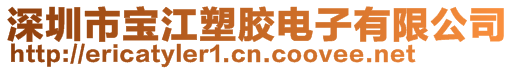 深圳市宝江塑胶电子有限公司