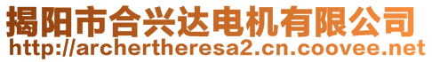 揭陽(yáng)市合興達(dá)電機(jī)有限公司