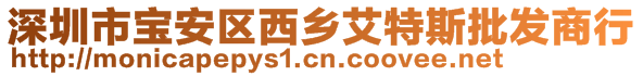 深圳市寶安區(qū)西鄉(xiāng)艾特斯批發(fā)商行