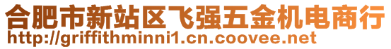 合肥市新站區(qū)飛強五金機電商行