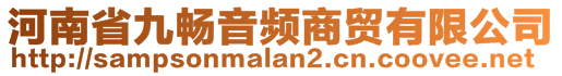 河南省九暢音頻商貿有限公司