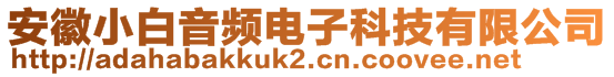 安徽小白音頻電子科技有限公司