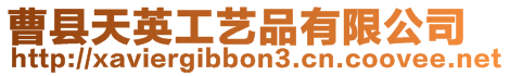 曹縣天英工藝品有限公司