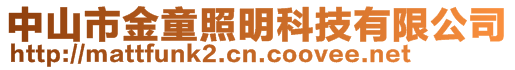 中山市金童照明科技有限公司