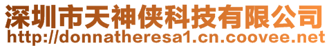 深圳市天神俠科技有限公司