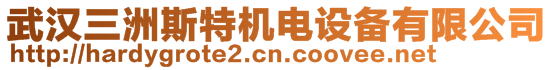 武漢三洲斯特機電設備有限公司