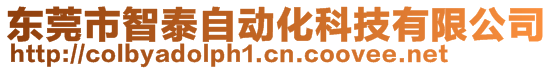 东莞市智泰自动化科技有限公司