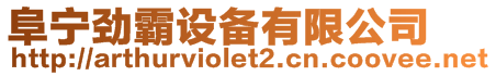 阜寧勁霸設備有限公司