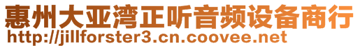 惠州大亞灣正聽音頻設(shè)備商行