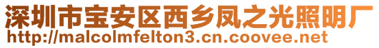 深圳市宝安区西乡凤之光照明厂