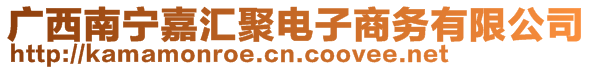 广西南宁嘉汇聚电子商务有限公司