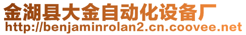 金湖縣大金自動化設(shè)備廠