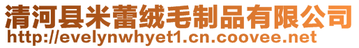 清河縣米蕾絨毛制品有限公司