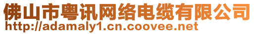 佛山市粵訊網(wǎng)絡(luò)電纜有限公司