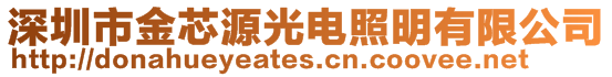 深圳市金芯源光电照明有限公司