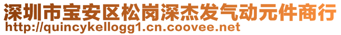 深圳市寶安區(qū)松崗深杰發(fā)氣動元件商行