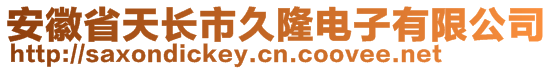 安徽省天長市久隆電子有限公司