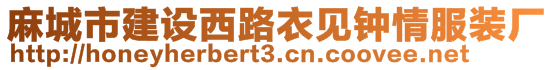 麻城市建設(shè)西路衣見鐘情服裝廠