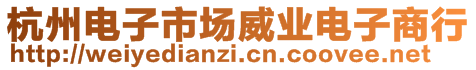 杭州電子市場威業(yè)電子商行