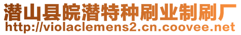 潛山縣皖潛特種刷業(yè)制刷廠