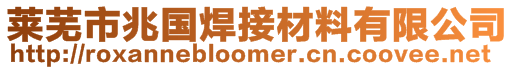 萊蕪市兆國(guó)焊接材料有限公司